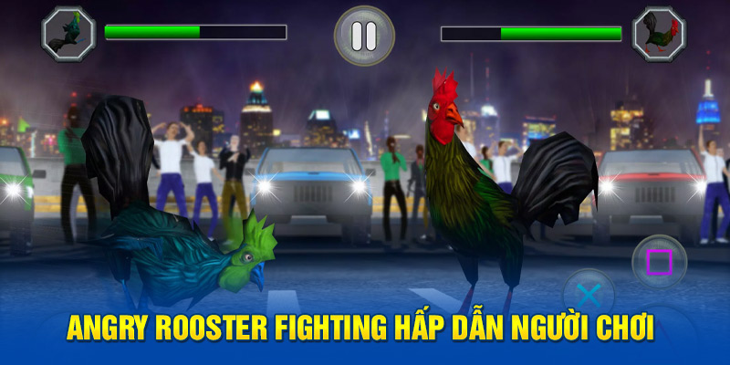 Angry Rooster Fighting hấp dẫn người chơi