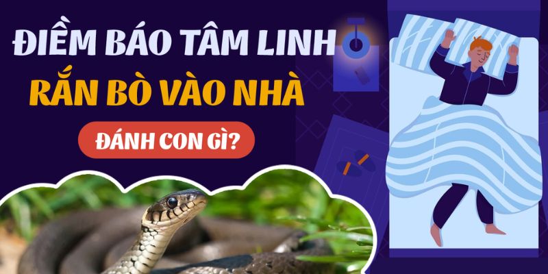 Bộ số son đỏ khi mộng thấy rắn vào nhà