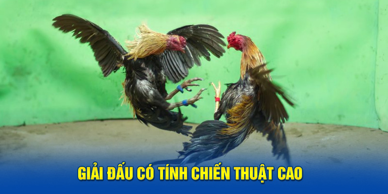 Giải đấu có tính chiến thuật cao 