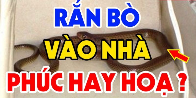 Giải mã chi tiết chiêm bao thấy rắn vào nhà