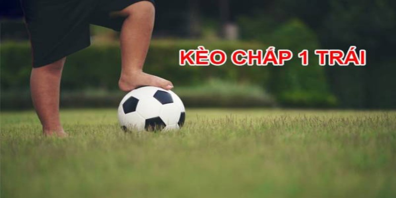 Kèo chấp 1 trái cũng có các thuật ngữ riêng