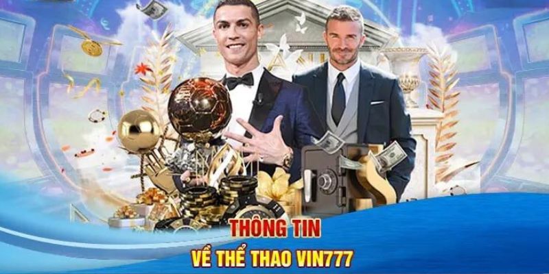 Khái quát chung về sảnh thể thao vin777