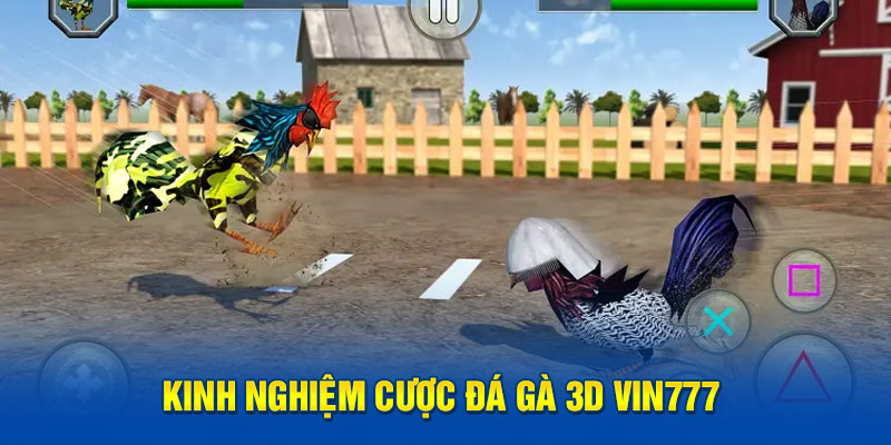 Kinh nghiệm chơi game đá gà Vin777 