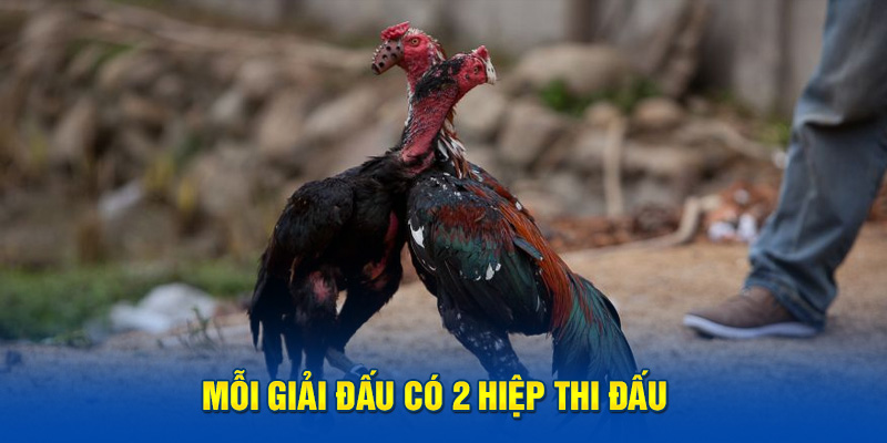 Mỗi giải đấu có 3 hiệp thi đấu 