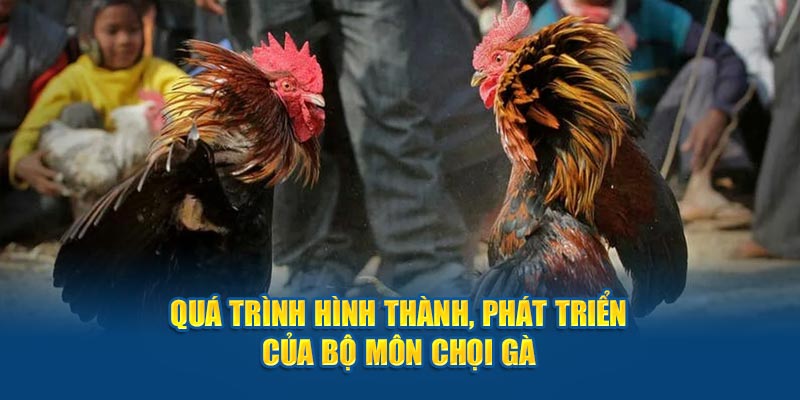 Quá trình hình thành, phát triển của bộ môn chọi gà