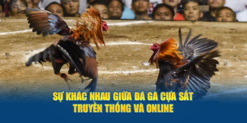 Sự khác nhau giữa đá gà cựa sắt truyền thống và online