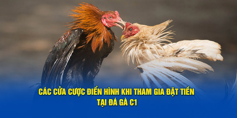 Các cửa cược điển hình khi tham gia đặt tiền tại đá gà C1